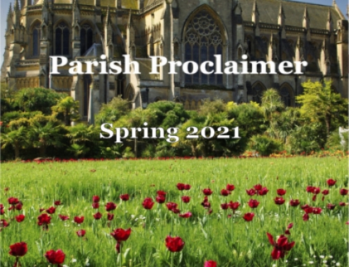 2021_1 Proclaimer Spring 2021