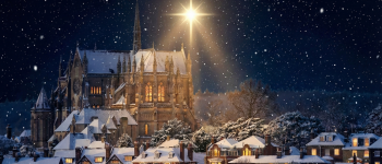 Winter 2025 Proclaimer Articles now available to view. Please click here.