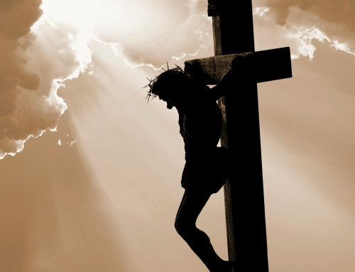 Divine Mercy Reflection by Nicki Strudwick