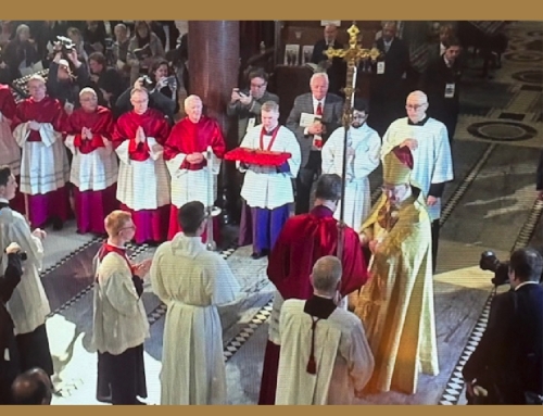 Archbishop’s Installation Mass – our local servers! by Melinda Heathcote